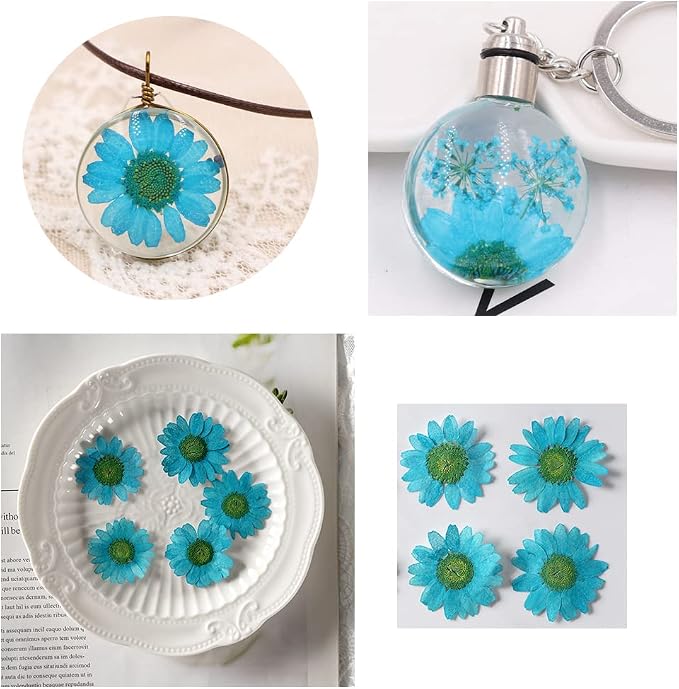 50pcs Natural Dried Daisy Flower, Vacuum Packaging, Pressed Flower - Image 3