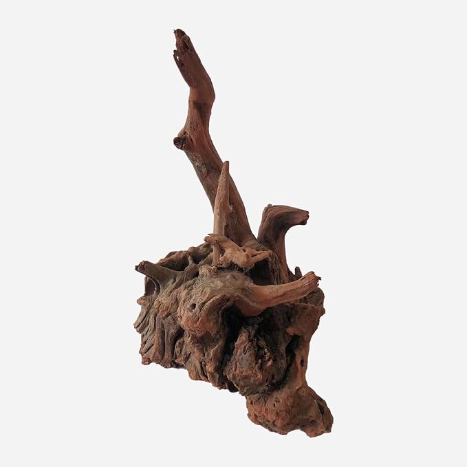 LYPHARD AQUARIUMS Natural Driftwood - Image 4