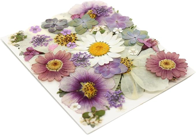40PCS Real Nature Dried Pressed Flowers - Image 6