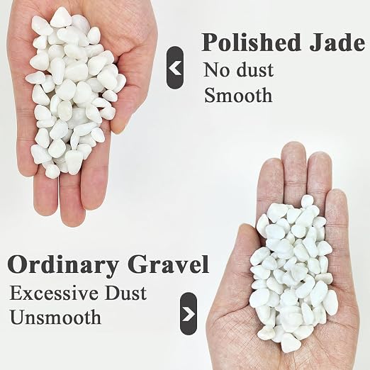 YISZM 10LB Succulent and Cactus Gravel Pebbles, 3/8 Inch Natural Decorative - Image 2