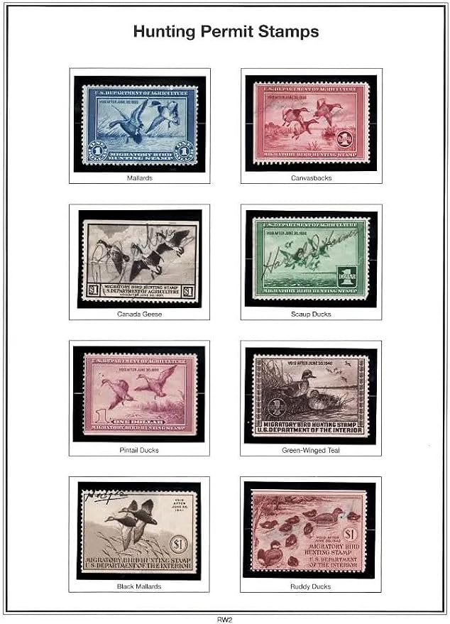 Pre-Cut Clear Stamp Mounts Size 127/70 - Image 3