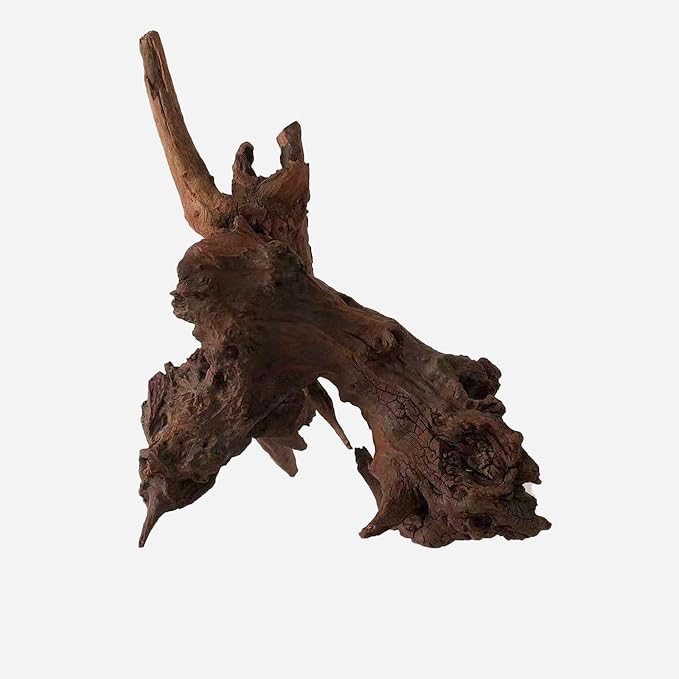 LYPHARD AQUARIUMS Natural Driftwood - Image 4