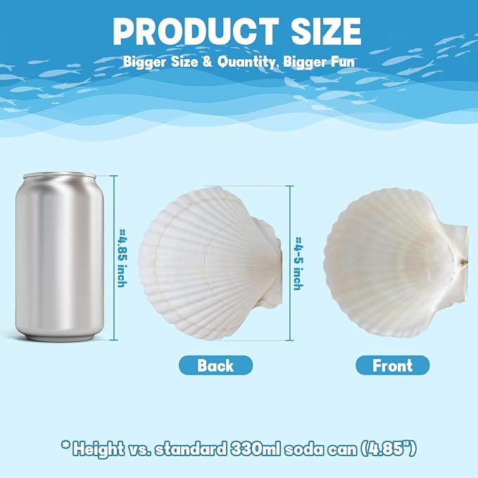 4"-5" 30 PCS Large Scallop Shells - Image 5