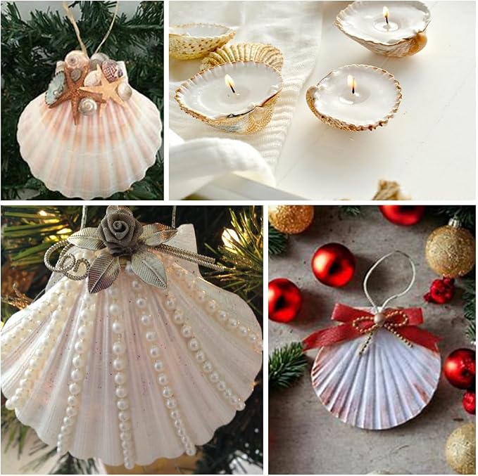 HappyFiller 12 PCS Natural Seashells 2-3 Inch, Beach Theme Party, Wedding - Image 8