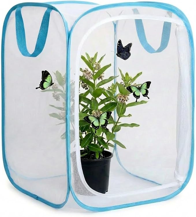 Insect & Butterfly Habitat Cage, Portable Pop-Up Terrarium by Unknown