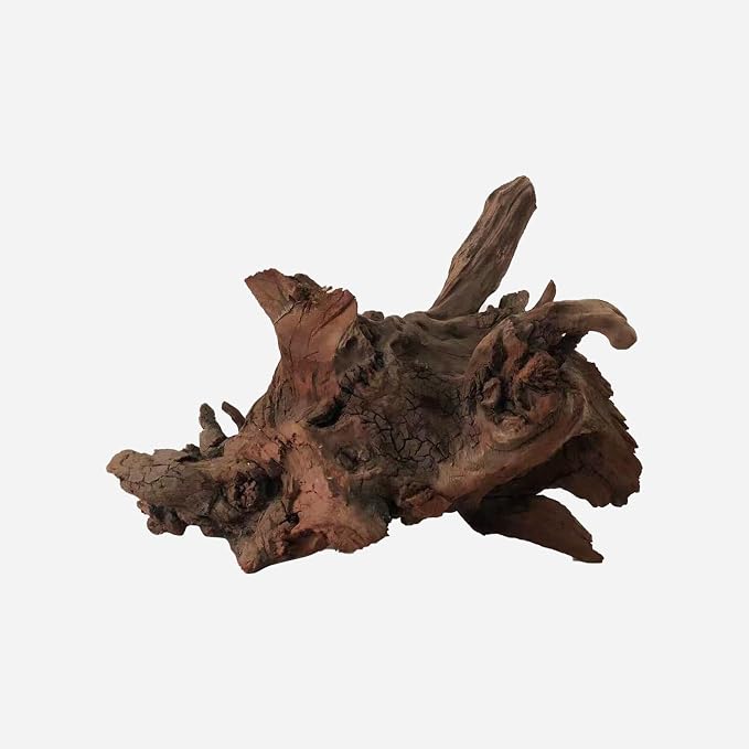 LYPHARD AQUARIUMS Natural Driftwood by LYPHARDAQUARIUMS
