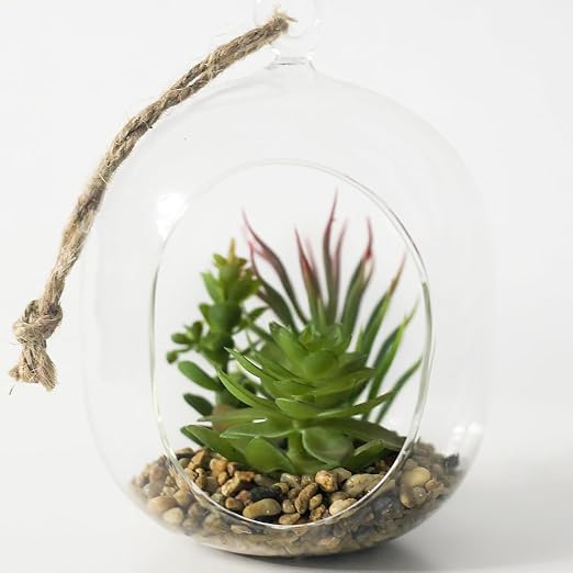 YISZM 5LB Succulent and Cactus Gravel Pebbles, 3/8 Inch Decorative Polished - Image 2