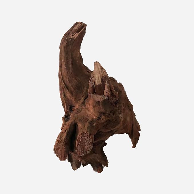 LYPHARD AQUARIUMS Natural Driftwood - Image 3