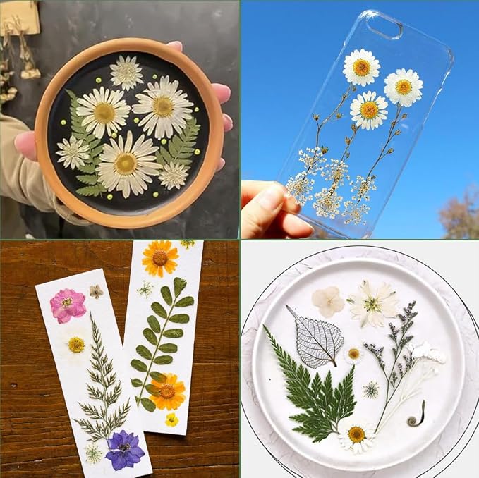 220 Pcs Dried Pressed Flowers for Resin Crafts, Real Natural Pressed Flowers - Image 6