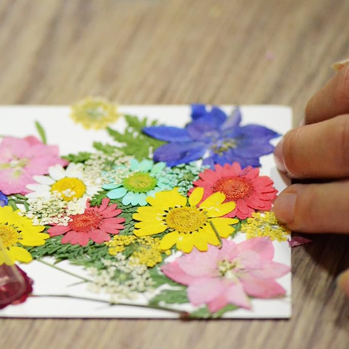 Woohome 91 PCS Natural Dried Pressed Flowers and Leaves - Image 6
