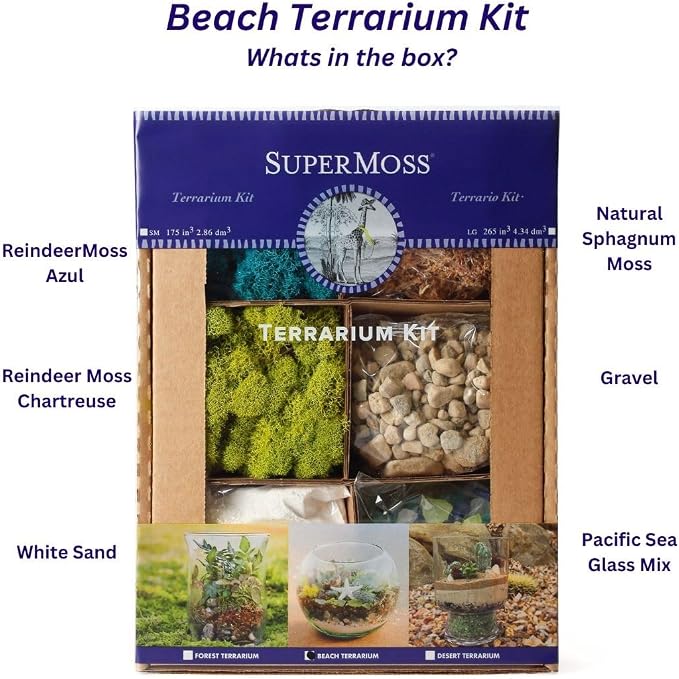 SuperMoss Beach Terrarium DIY Kit – Create Stunning Nature-Inspired Mini - Image 2