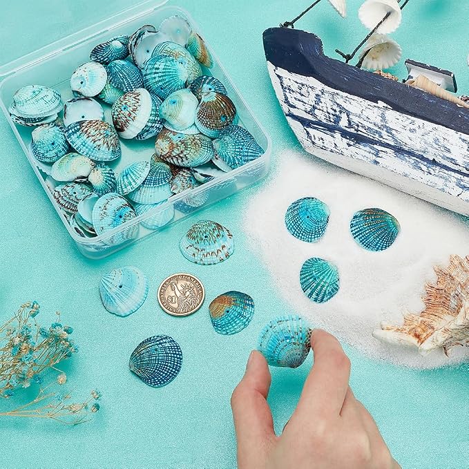 PH PandaHall Tiny Scallop Sea Shells, 35-40Pcs Natural Seashell | 1mm Hole - Image 3