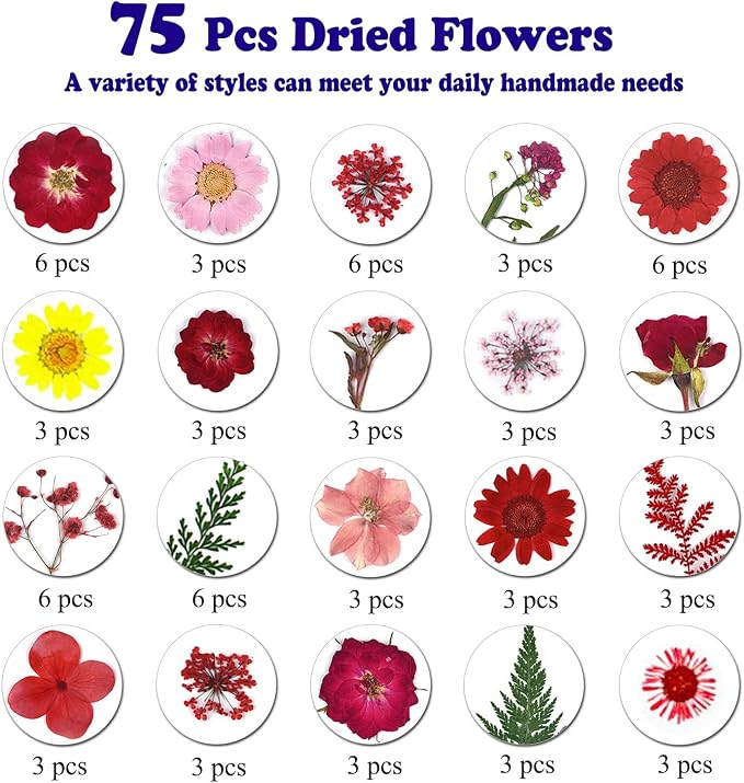 75 Pcs Red Dried Flowers Real Natural Pressed Leave Petals - Image 4