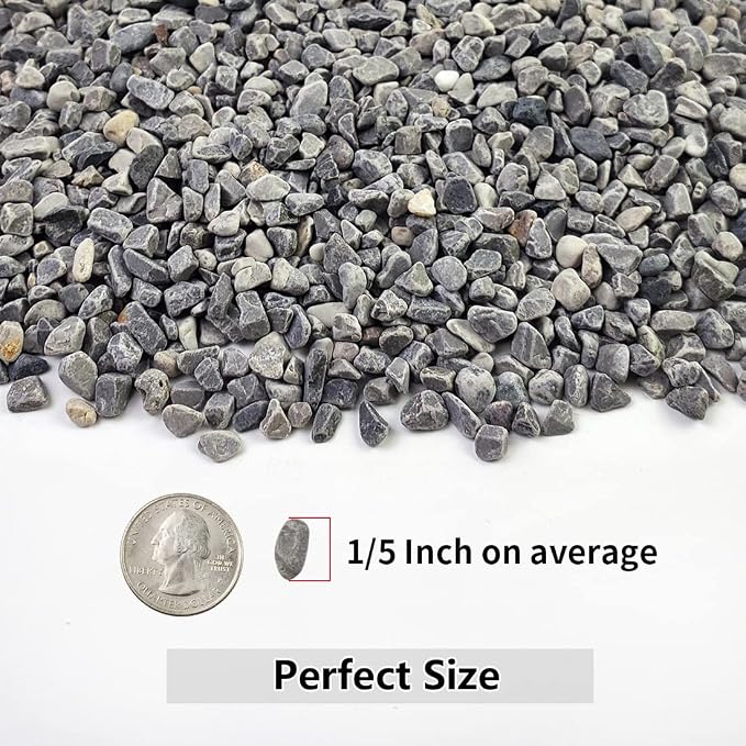 YISZM 2LB Succulent and Cactus Gravel Pebbles, 1/5 Inch Natural Decorative - Image 2