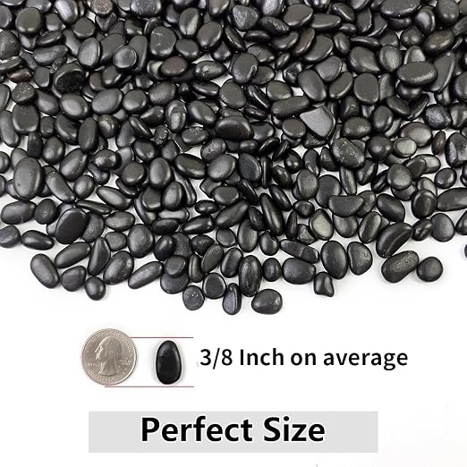 YISZM 5LB Succulent and Cactus Black Pebbles, 3/8 Inch Natural Decorative - Image 3