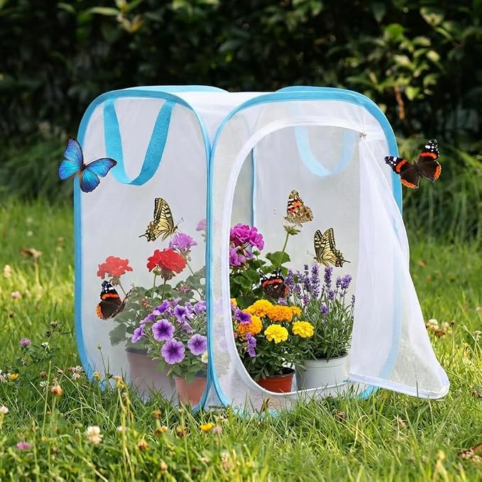 Insect & Butterfly Habitat Cage, Portable Pop-Up Terrarium - Image 6