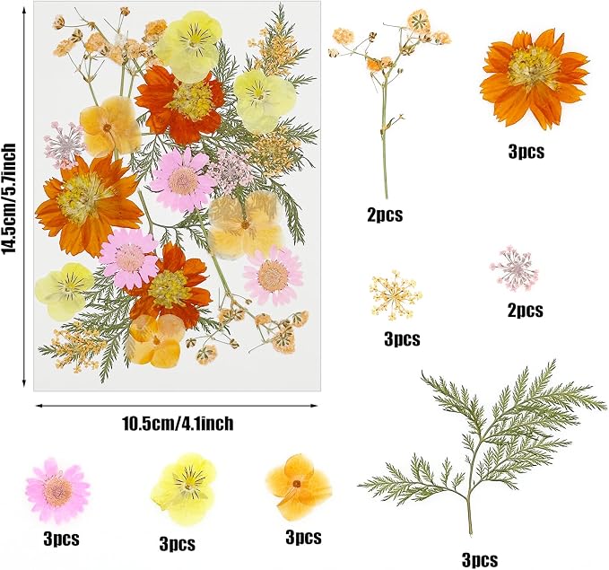 Woohome 44 PCS Orange Real Pressed Flowers, Dried Pressed Flowers - Image 6
