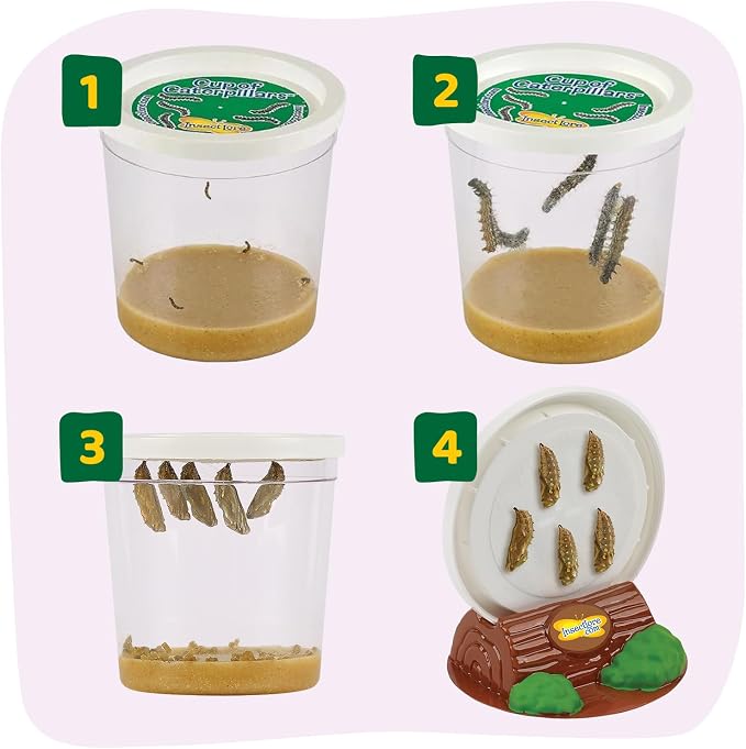 Insect Lore Raise and Release Butterfly Garden Kit – Caterpillar Habitat - Image 9