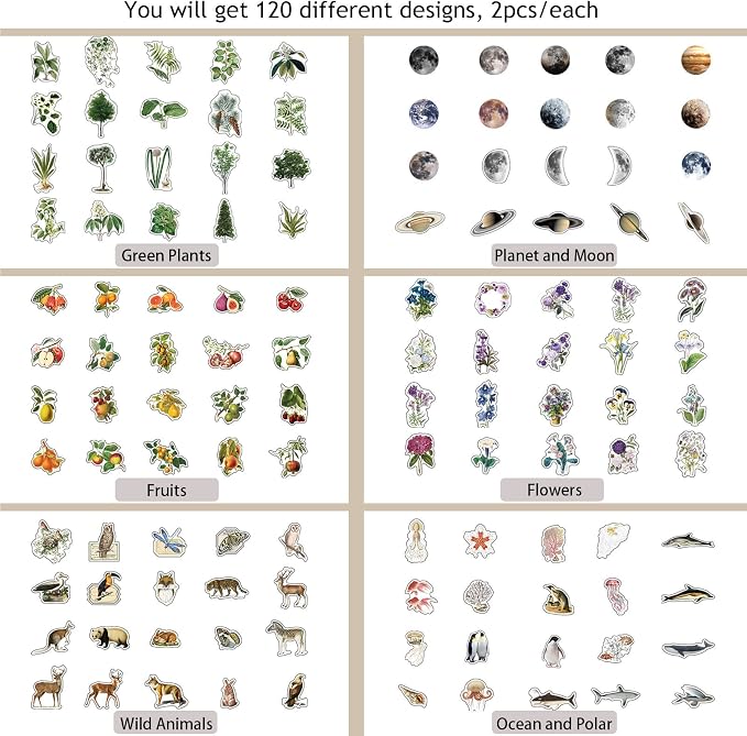 Nature Themed Transparent Pre-Cut Stickers - Image 7