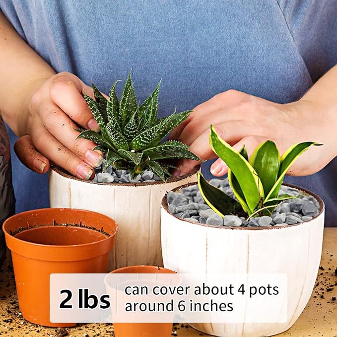 YISZM 2LB Succulent and Cactus Gravel Pebbles, 1/5 Inch Natural Decorative - Image 4