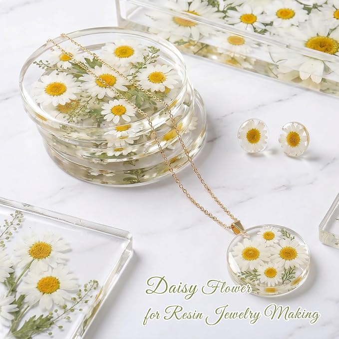 48 Pcs Natural Dried Pressed Daisy Flowers - Image 6