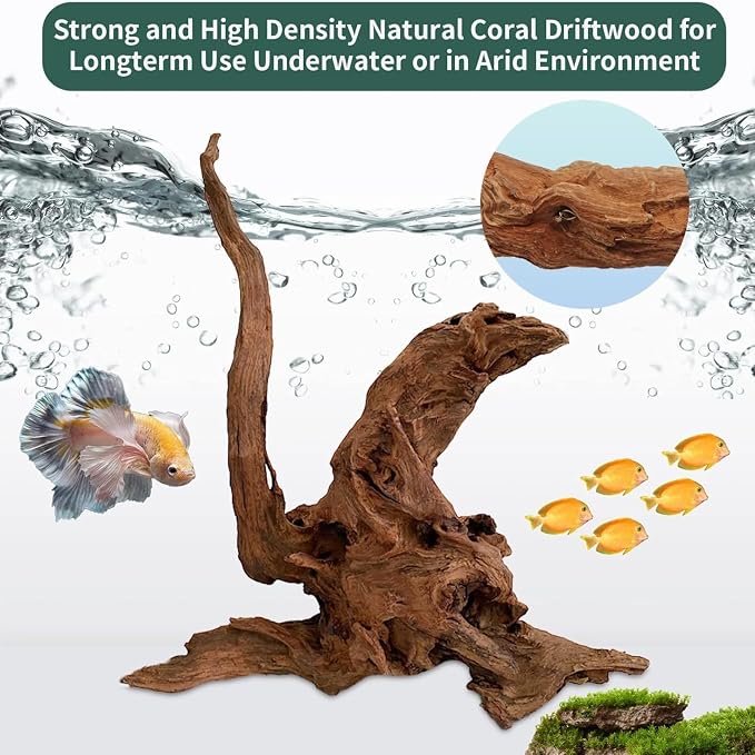 Hamiledyi Natural Large Driftwood - Image 4