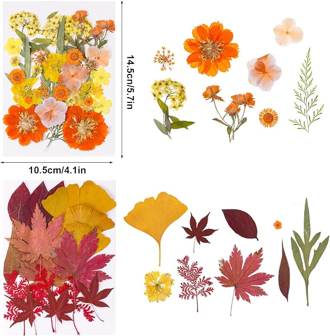 100 Pcs Fall Dried Pressed Flowers - Image 3
