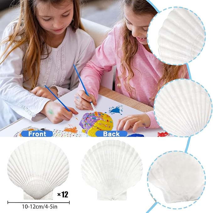 12PCS Large Natural Scallop Shells 4''-5'' White Sea Shells - Image 2