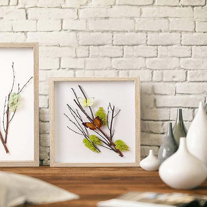 8x8 Shadow Box Frame Display Case - Image 4