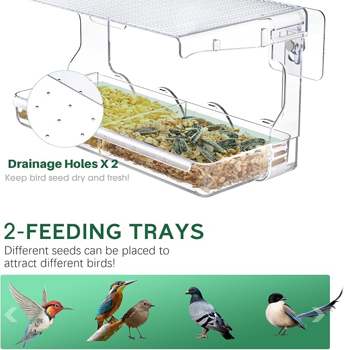 SUNALLY Window Bird Feeder for Outdoors, Outside Wild Bird Watching for - Image 3