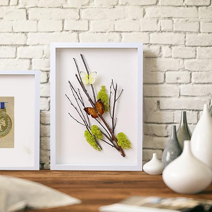 8x10 Shadow Box Frame Display Case - Image 4