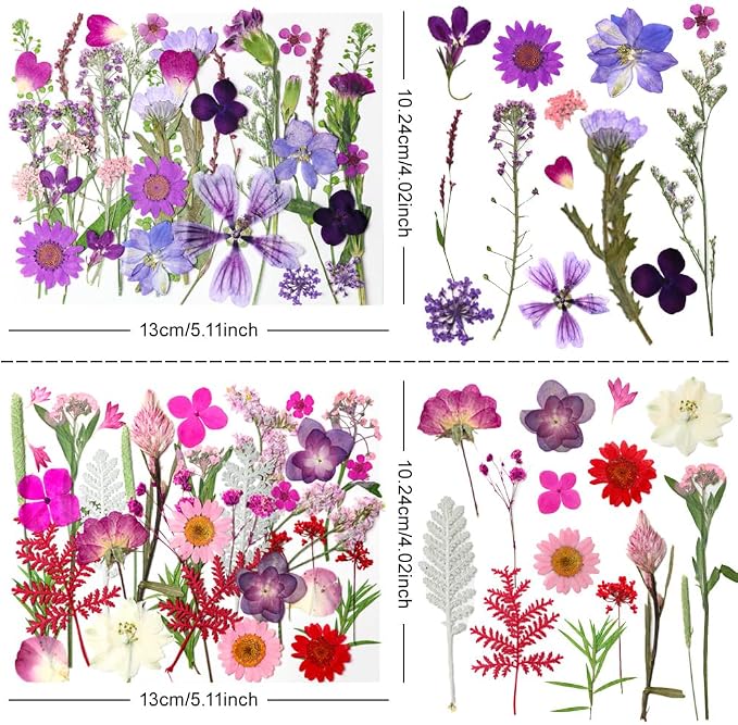 140Pcs Dried Pressed Flowers, Natural Dried Flowers Bulk - Image 3