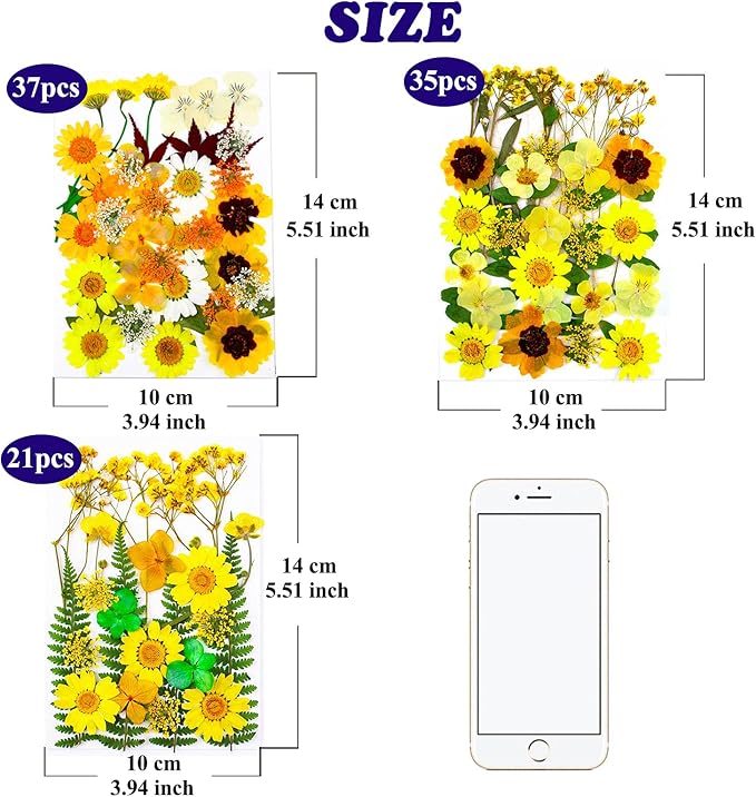 93 Pcs Yellow Dried Pressed Flowers Real Natural Leave Petals - Image 7