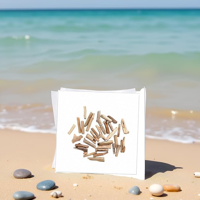20 Pcs Wood Natural Driftwood Pieces Branch Slices Beach Decor - Image 5
