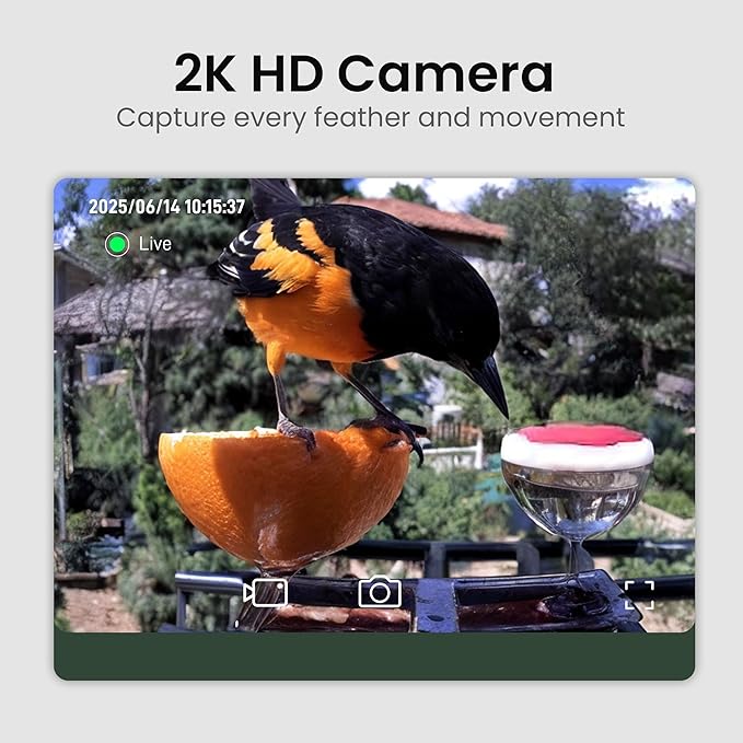 Bird Feeder with Camera Solar Powered 2K HD Video, 000+ Species AI Recognition - Image 2