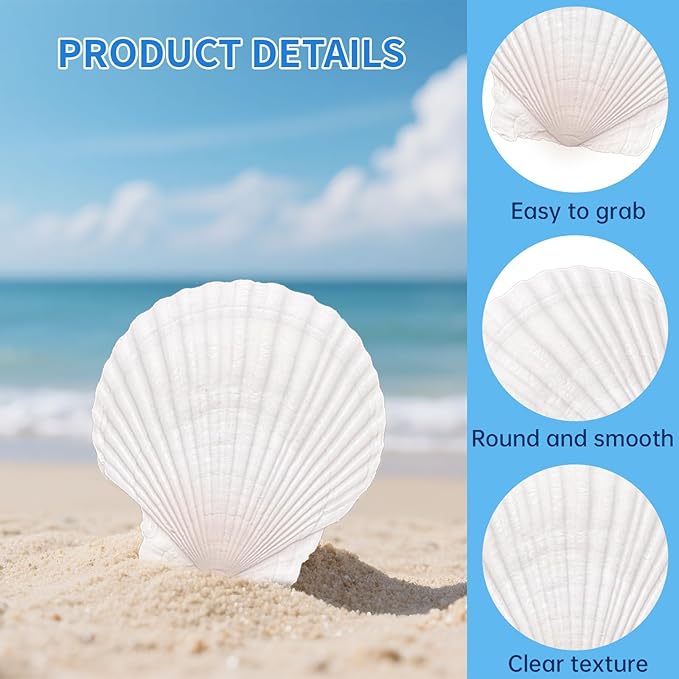 36PCS Natural Scallop Shells for Crafts, 2-3 Inch White Sea Shells for - Image 3