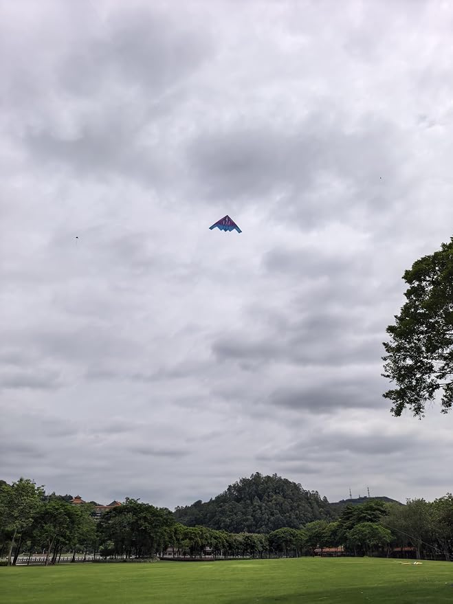 B2 Model Airplane Kite, Large Easy to Fly Kites Adults, 300FT String Reel - Image 5