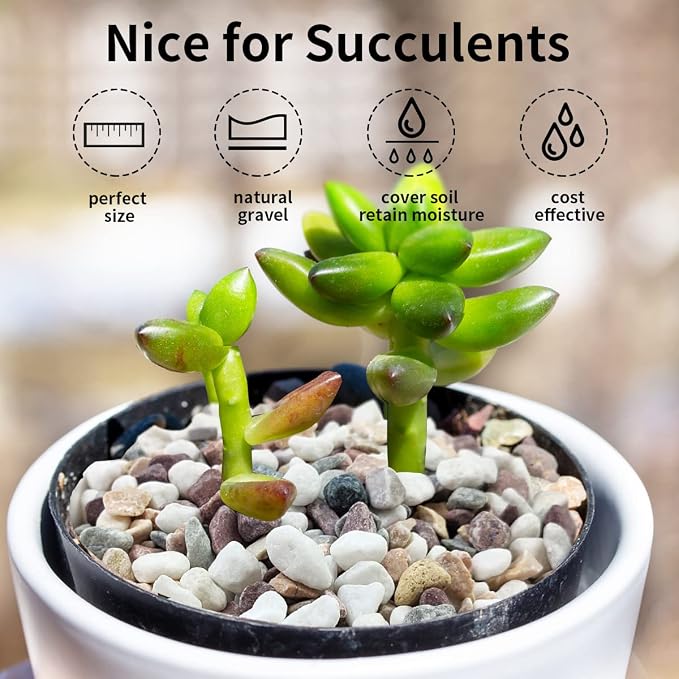 FANTIAN 5 lbs Pebbles for Plants, 3/8 Inch Tiny Pea Gravel. Decorative - Image 6