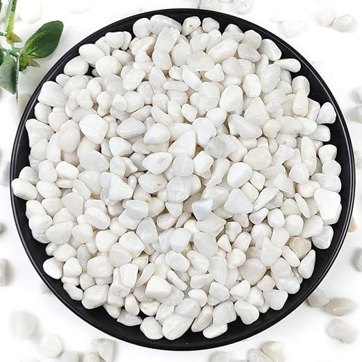 YISZM 10LB Succulent and Cactus Gravel Pebbles, 3/8 Inch Natural Decorative by YISZM-ForYourNaturalLife