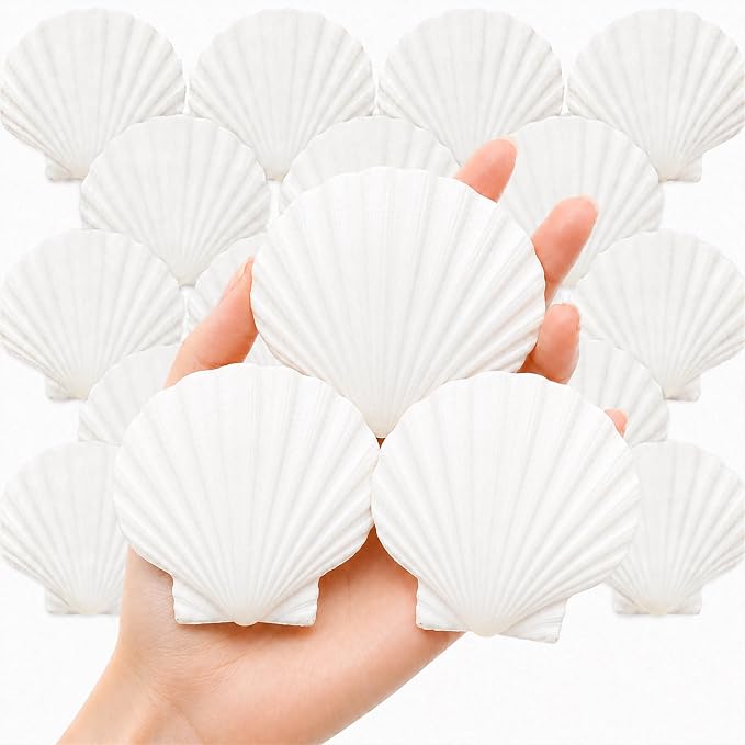 denking 20 PCS Scallop Shells 2.7-3.1 inch Natural White Seashells by Unknown