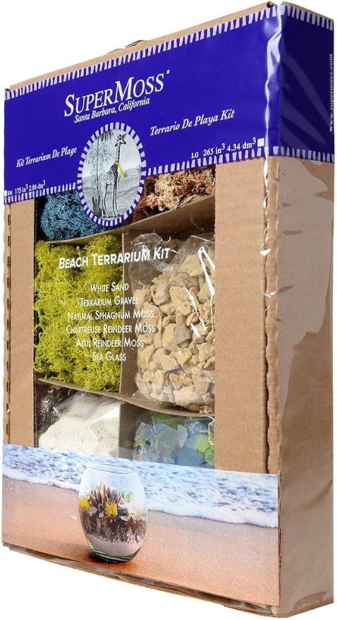 SuperMoss Beach Terrarium DIY Kit – Create Stunning Nature-Inspired Mini - Image 5