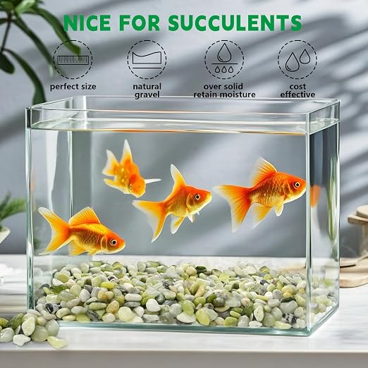 2.2 lb Jade Pebbles for Indoor Plants, 3/8 Inch Polished Decorative Pebbles for - Image 5