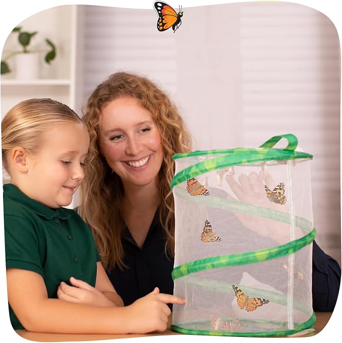 Insect Lore Raise and Release Butterfly Garden Kit – Caterpillar Habitat - Image 10