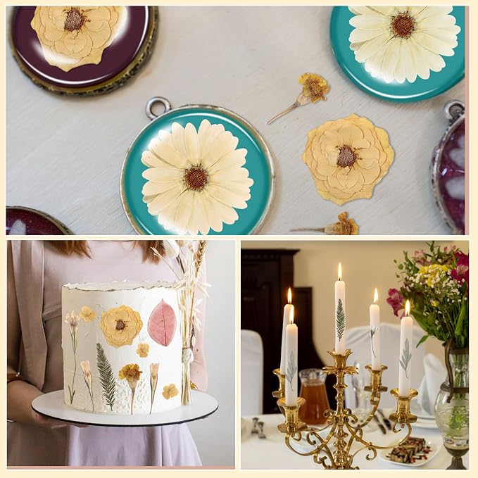 Nuanchu Dried Pressed Flowers for Soap Making Boho Dried Flower Resin Crafts - Image 5