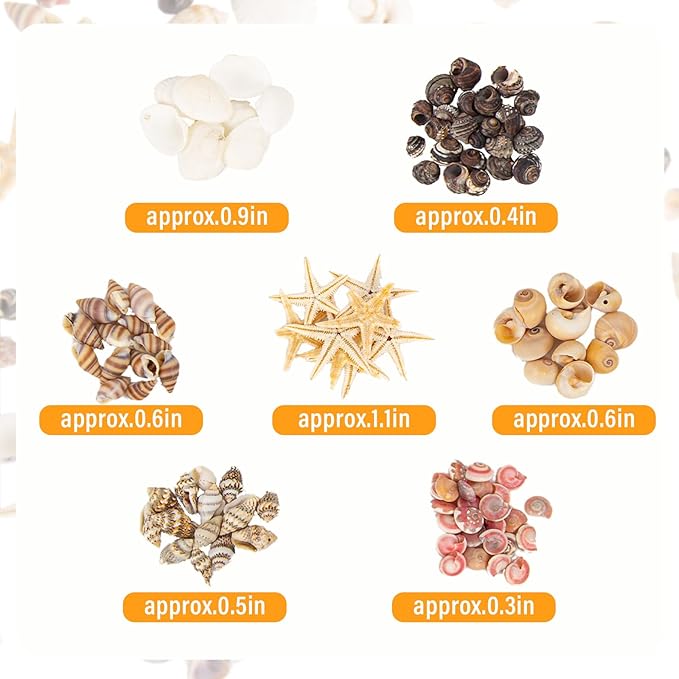 JQAQJU 1000 PCS Mini Sea Shells Small Starfish Mixed, 20 Kinds of Tiny - Image 5