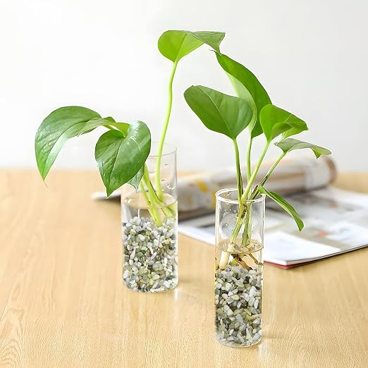 Pulovin 5LB Succulent and Cactus Pebbles, 1/5 Inch Jade Pebbles - Image 6