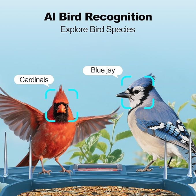 Bird Feeder with Camera, FHD Live View Video, Smart WiFi Bird Feeder Camera - Image 4