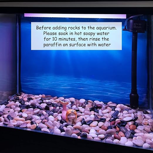 FANTIAN 10 lbs Stones for Plants, 1-2 inch Polished Pebbles for Indoor Plants - Image 6