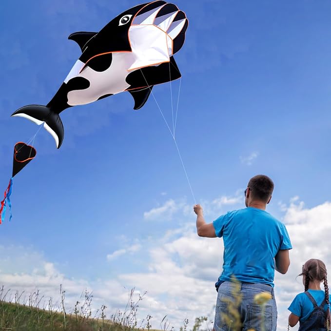 HENGDA KITE 3D Kite for Kids and Adults, Excellent Fabric and Structure - Image 7