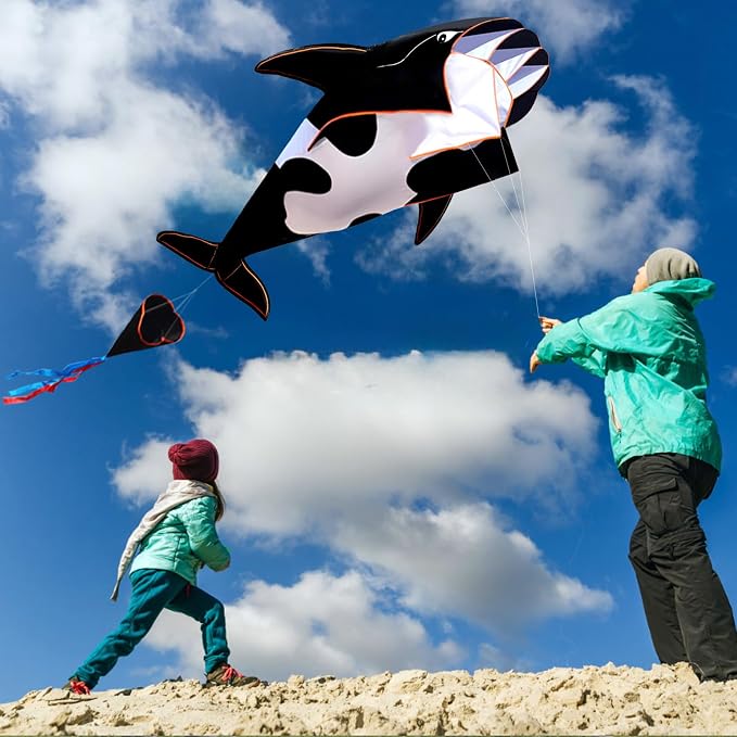 HENGDA KITE 3D Kite for Kids and Adults, Excellent Fabric and Structure - Image 5